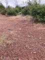 1 Wayland - Photo 1