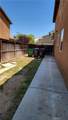 28799 Lavatera Avenue - Photo 42