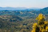 22103 Carancho - Photo 15