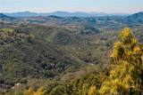22103 Carancho - Photo 17