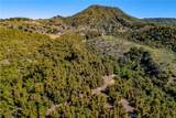 22103 Carancho - Photo 8