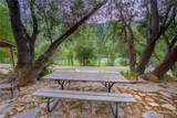 9977 Incline Road - Photo 15