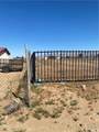 0 Hesperia - Photo 13