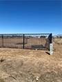 0 Hesperia - Photo 4