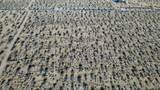 0 Cottonwood - Photo 4