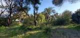 13577 Sonoma - Photo 1