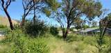 13577 Sonoma - Photo 3