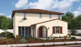 16543 Shallot Street - Photo 1
