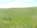0 Douglas Rd. (Lot 42) - Photo 12