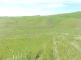 0 Douglas Rd. (Lot 42) - Photo 13