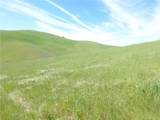 0 Douglas Rd. (Lot 42) - Photo 14