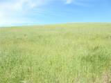 0 Douglas Rd. (Lot 42) - Photo 15