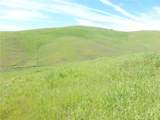 0 Douglas Rd. (Lot 42) - Photo 17