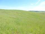0 Douglas Rd. (Lot 42) - Photo 19