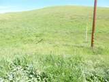 0 Douglas Rd. (Lot 42) - Photo 21
