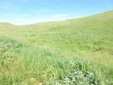 0 Douglas Rd. (Lot 42) - Photo 22