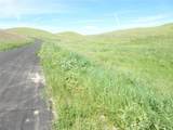 0 Douglas Rd. (Lot 42) - Photo 23