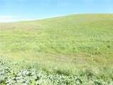 0 Douglas Rd. (Lot 42) - Photo 25