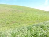 0 Douglas Rd. (Lot 42) - Photo 29