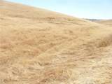 0 Douglas Rd. (Lot 42) - Photo 30