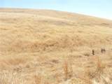 0 Douglas Rd. (Lot 42) - Photo 31