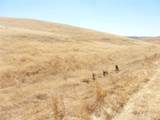0 Douglas Rd. (Lot 42) - Photo 32