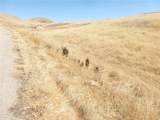 0 Douglas Rd. (Lot 42) - Photo 34