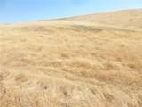 0 Douglas Rd. (Lot 42) - Photo 35