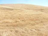0 Douglas Rd. (Lot 42) - Photo 36