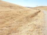 0 Douglas Rd. (Lot 42) - Photo 37
