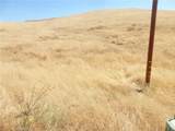 0 Douglas Rd. (Lot 42) - Photo 42