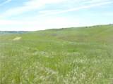 0 Douglas Rd. (Lot 42) - Photo 6