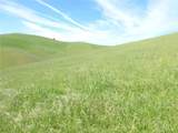 0 Douglas Rd. (Lot 42) - Photo 10
