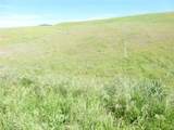 0 Douglas Rd. (Lot 43) - Photo 17