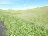 0 Douglas Rd. (Lot 43) - Photo 18