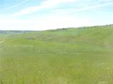 0 Douglas Rd. (Lot 43) - Photo 3