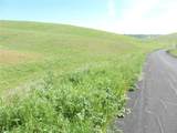 0 Douglas Rd. (Lot 43) - Photo 25