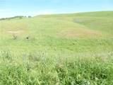 0 Douglas Rd. (Lot 43) - Photo 27