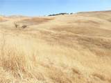 0 Douglas Rd. (Lot 43) - Photo 29