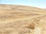 0 Douglas Rd. (Lot 43) - Photo 32