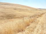 0 Douglas Rd. (Lot 43) - Photo 36