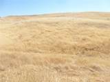 0 Douglas Rd. (Lot 43) - Photo 38