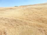 0 Douglas Rd. (Lot 43) - Photo 39