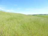 0 Douglas Rd. (Lot 43) - Photo 6