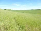0 Douglas Rd. (Lot 43) - Photo 10