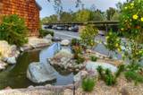 33852 Del Obispo Street - Photo 38