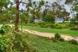 33852 Del Obispo Street - Photo 49