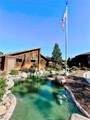 33852 Del Obispo Street - Photo 50