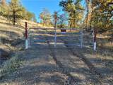 17435 Quail Ridge - Photo 4
