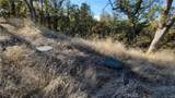 17435 Quail Ridge - Photo 6